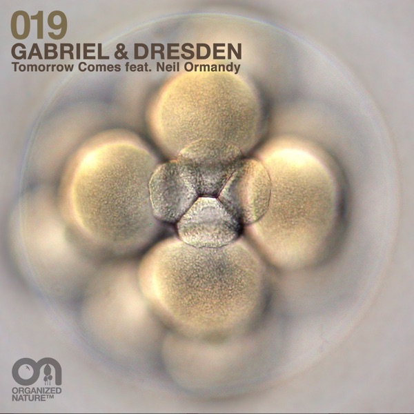 Tomorrow Comes (feat. Neil Ormandy) - Single