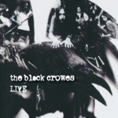 The Black Crowes - Miracle to Me (Live)