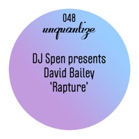Rapture - Single - David Bailey