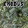 Exodus - Seeds Of Hate