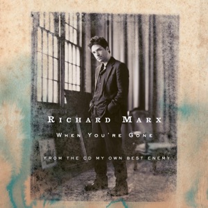 When You're Gone - Single