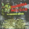 Marimba Melgar - Jardín Mazateco