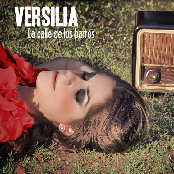 Cover artwork for La calle de los barros