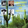 Grandes Voces de México