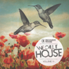 We Call It House, Vol. 11 - Various Artists