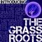 Let's Live for Today - The Grass Roots lyrics