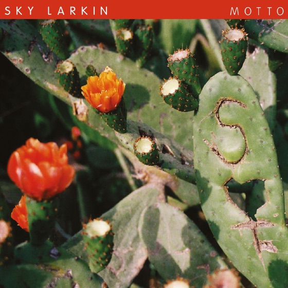 Cover artwork for Motto