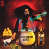 37) Roy Wood & Wizzard - I Wish It Could Be Christmas Everyday