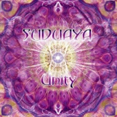 Voyager (Suduaya Remix) artwork