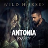 Antonia, Jay Sean & Sonic-e & Woolhouse