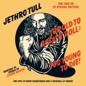 Too Old To Rock 'N' Roll: Too Young To Die! artwork