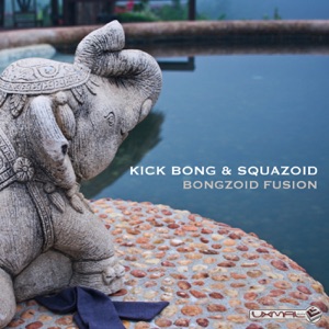 Bongzoid Fusion - Single