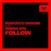 Follow (feat. Simona Effe) - Single