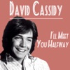 David Cassidy - How Can I Be Sure