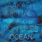 Aakash Mittal Quartet & Ron Miles - Kolkata: Pooja