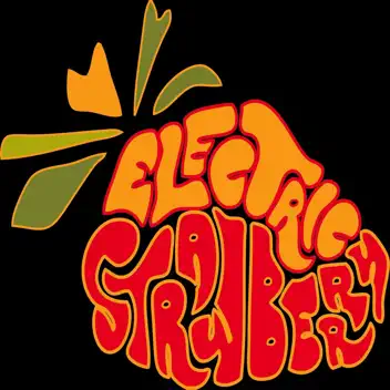 Electric Strawberry album cover