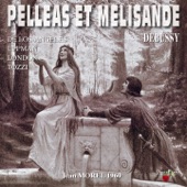 Debussy : Pelléas et Mélisande artwork
