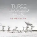 Three Legged Fox