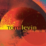 Tony Levin - Blue Nude Reclining