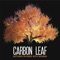 Miss Hollywood - Carbon Leaf lyrics