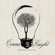 Stella - Cereus Bright