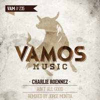 Ain't All Good - Single - Charlie Roennez