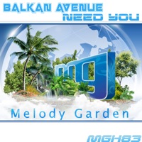 Need You - Single - Balkan Avenue