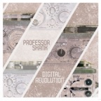 Positive Image (feat. Mad Professor)
