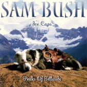 Sam Bush - Sailin' Shoes