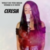Ceresia - What Do You Mean / Where R U Now