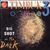 Timbuk 3 - Sunshine