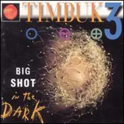 Big Shot In the Dark - Timbuk 3