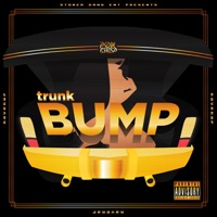 Trunk Bump - Single - Pok'chop