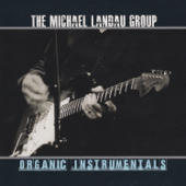 Organic Instrumentals - Michael Landau Group