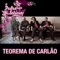 Teorema de Carlão (Remix) - Pedra Leticia lyrics