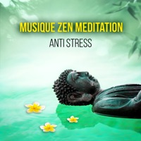 Musique Zen Meditation Anti Stress – Détente, relaxation, yoga, spa, sérénité, massage et relax, berceuse pour endormir, sons de la nature - Rebirth Yoga Music Academy