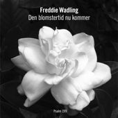 Den Blomstertid Nu Kommer - Freddie Wadling