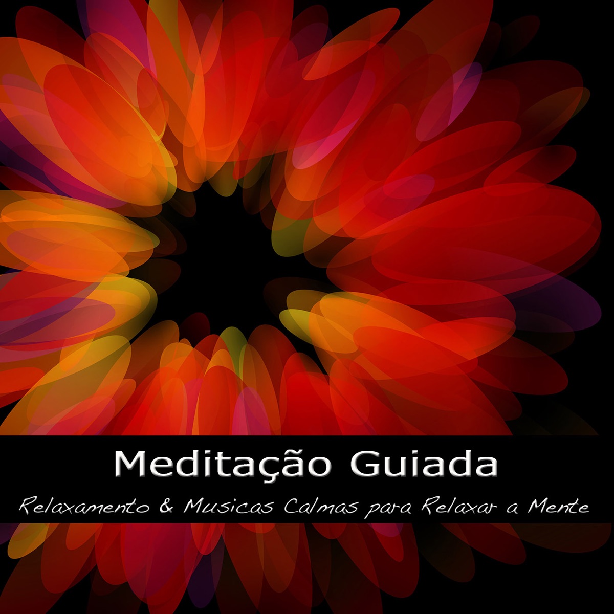  Meditação Matinal - Musica Relaxante para Tecnicas de  Meditação, Musicas Instrumentais para Força do Pensamento Positivo :  Meditação Maestro: Digital Music