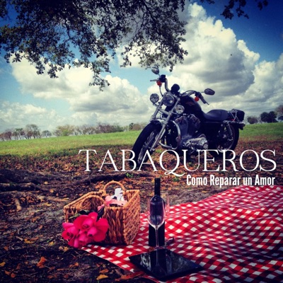 Como Reparar un Amor - Single