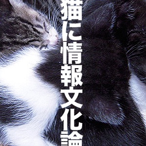 猫に情報文化論