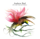 Andrew Bird - Fitz And The Dizzy Spells