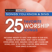 Worship Together: 25 Favorite Worship Songs artwork