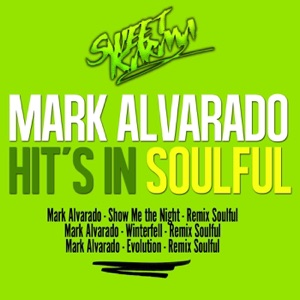 Hits In SoulFul - EP
