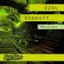 Subwayz (Sqz Me Remix) song reviews