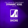 Dynamic Soul (Ciro Visone vs. Santi Project) - Single