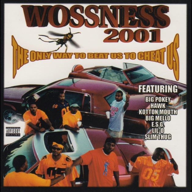 The Only Way To Beat Us Is To Cheat Us - Album by Woss Ness