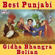 Best Punjabi Gidha Bhangra Bolian, Vol. 2 - Various Artists
