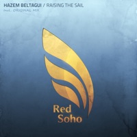 Raising the Sail - Single - Hazem Beltagui