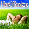 4 Hours of Soundscape: Relaxation and Meditation Music with Nature Sounds - Nature Soundscape