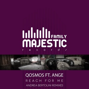 Reach for Me (Andrea Bertolini Remixes) - Single